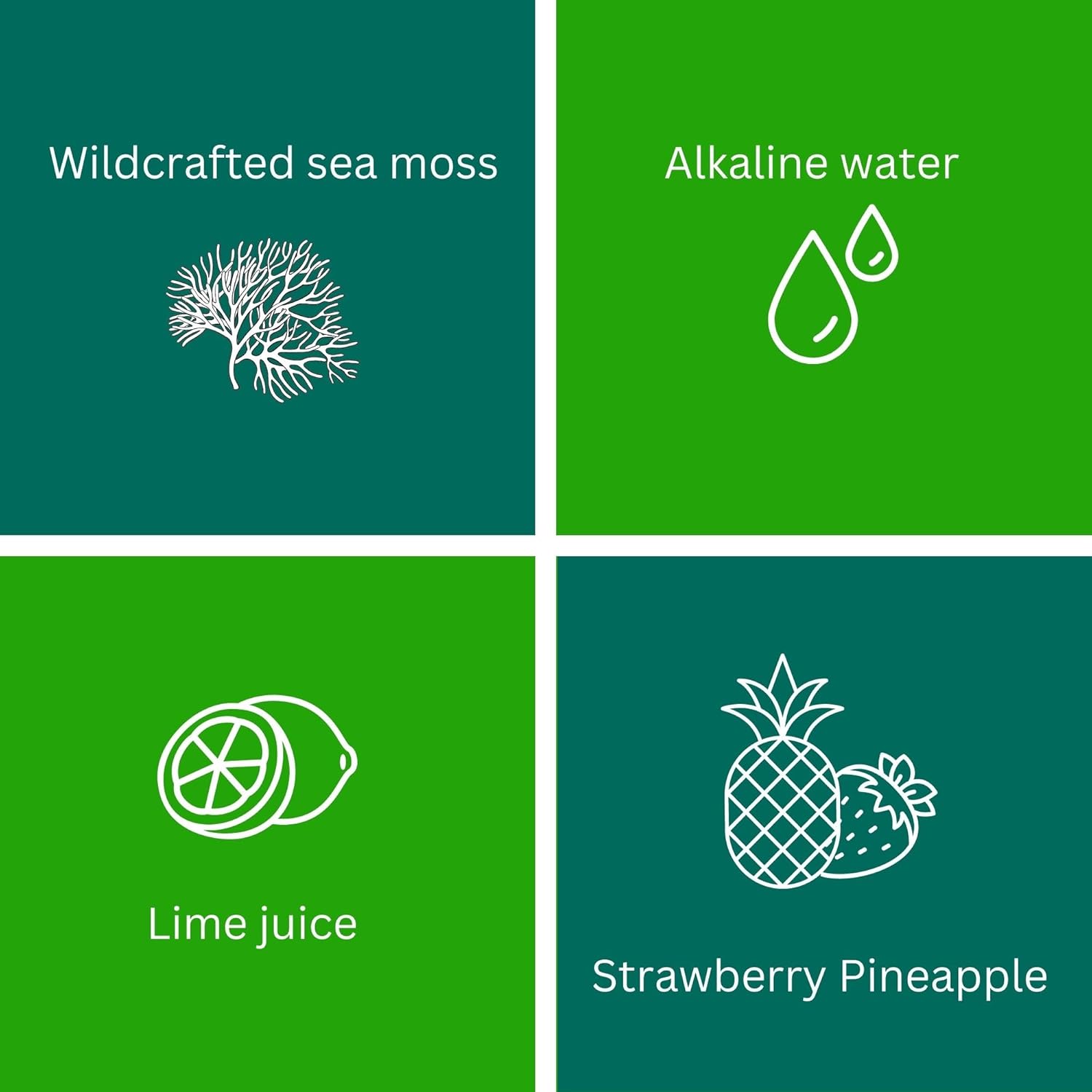 24oz MAX FIT Wildcrafted Gold Sea Moss Gel from Saint Lucia | 92 Vitamins & Minerals | Pure Raw Non-GMO Vegan Superfood