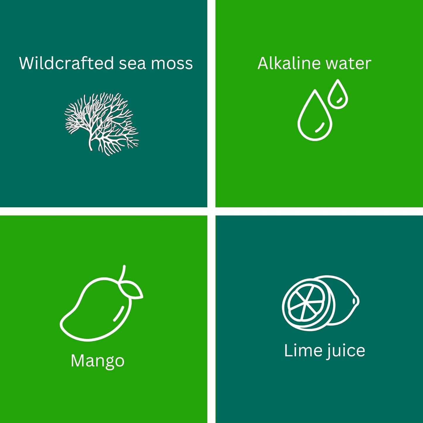 24oz Organic Raw Sea Moss Gel from Saint Lucia | 12 Flavors | Wildcrafted Gold Sea Moss | 92 Vitamins & Minerals | Non-GMO Vegan Superfood