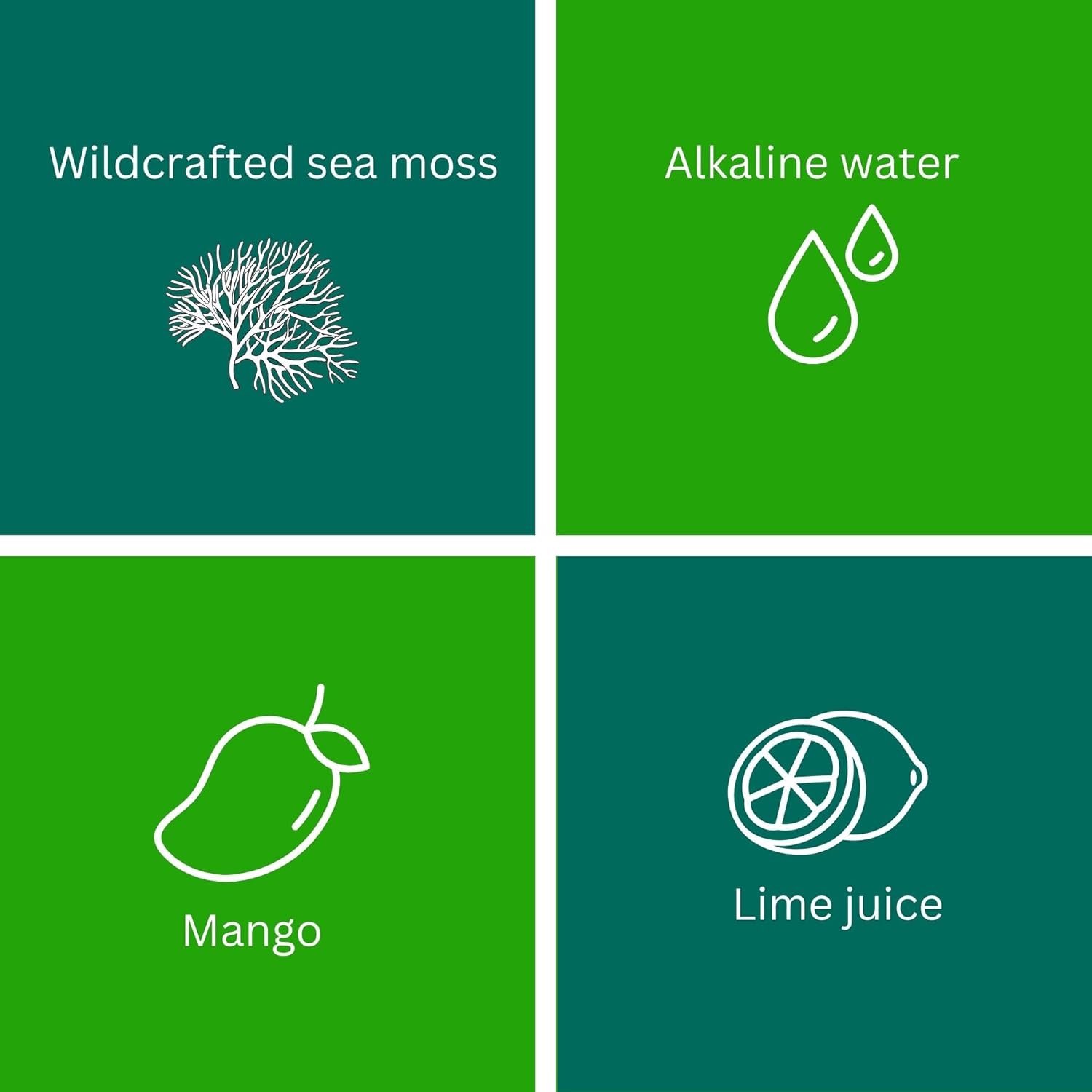 24oz Organic Raw Sea Moss Gel from Saint Lucia | 12 Flavors | Wildcrafted Gold Sea Moss | 92 Vitamins & Minerals | Non-GMO Vegan Superfood