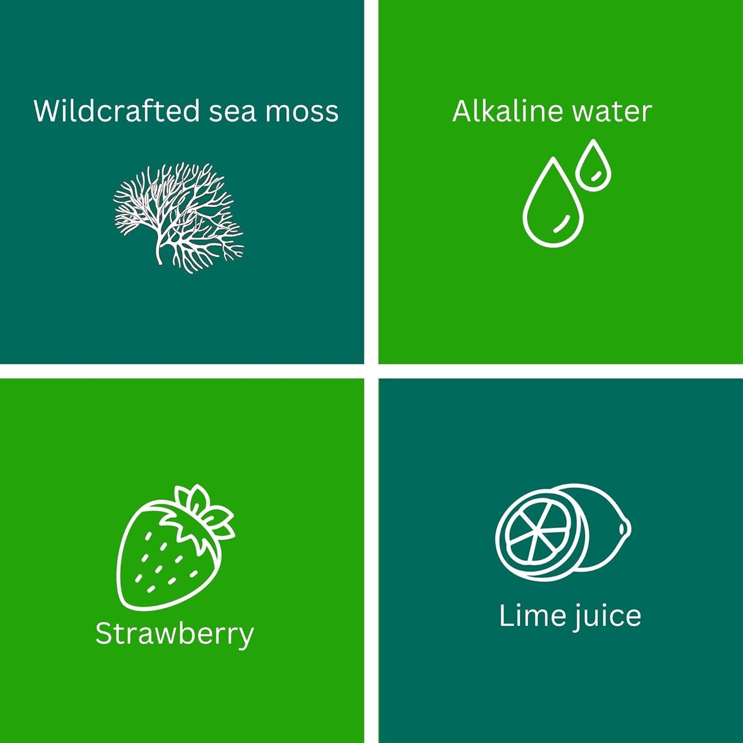 24oz Organic Raw Sea Moss Gel with 12 Flavors from Saint Lucia: Non-GMO, Vegan Superfood with 92 Vitamins and Minerals