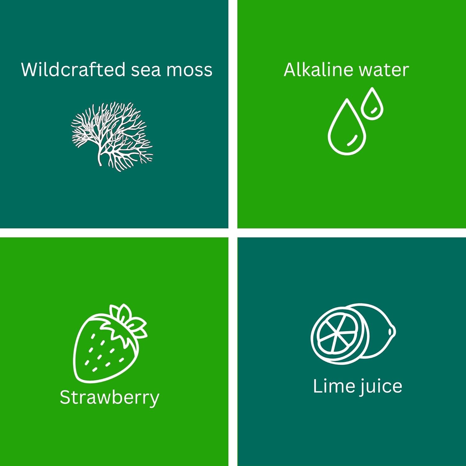 24oz Organic Raw Sea Moss Gel with 12 Flavors from Saint Lucia: Non-GMO, Vegan Superfood with 92 Vitamins and Minerals