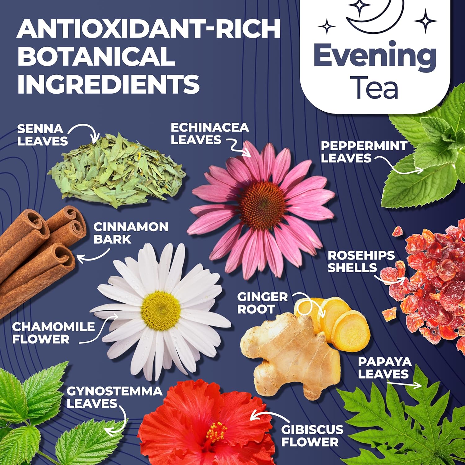 25-Day Total Tea Detox & Energy Set - Herbal Slim Tea with Chamomile, Hibiscus, Ginger Root - Citrus & Cinnamon Blend for Digestive Health - Colon Cleanse Tea (25-Pack)