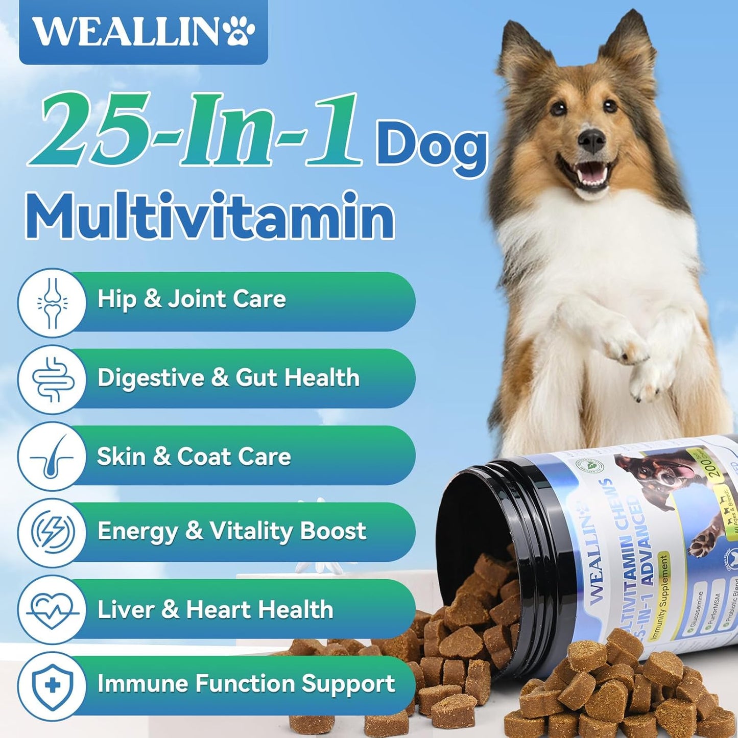 25-In-1 Dog Multivitamin Chewable with Glucosamine, Probiotics, Omega-3 - 200pcs - BoostGo Australia