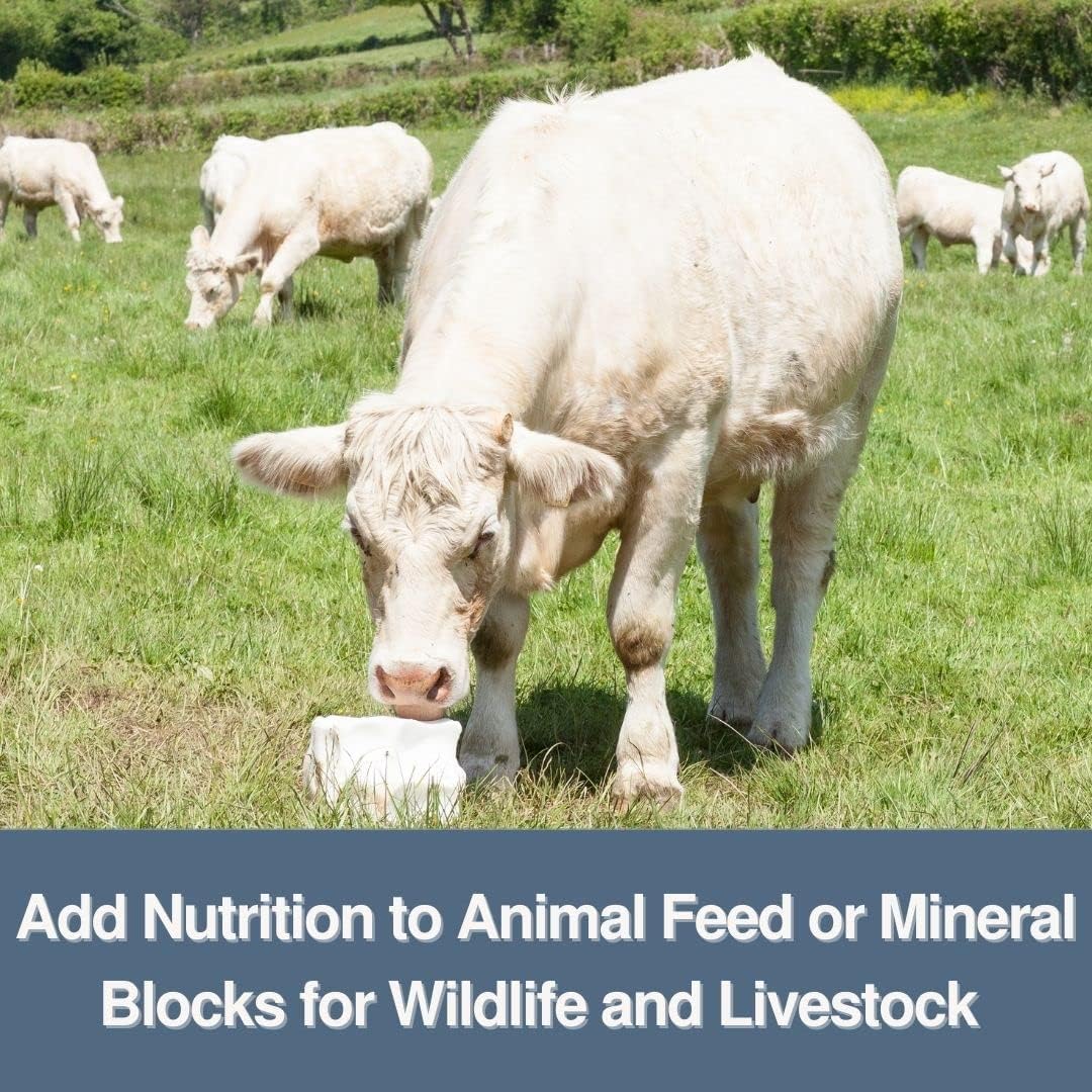 25 kg DCPD Powder for Tablet & Capsule Production - Food Grade Anti-Caking Agent & Supplement Filler - LFA Tablet Presses