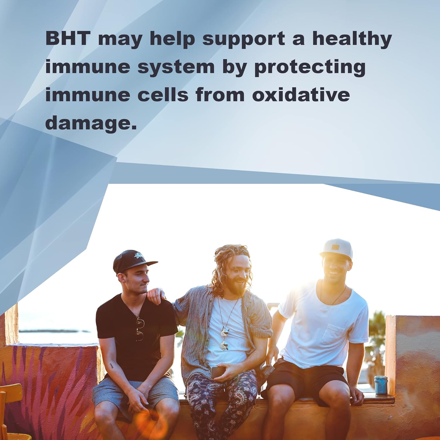 250 mg x 500 Capsules of LifeLink BHT (Butylated Hydroxytoluene) for Antioxidant & Anti-Aging Benefits - Gluten Free & Non-GMO