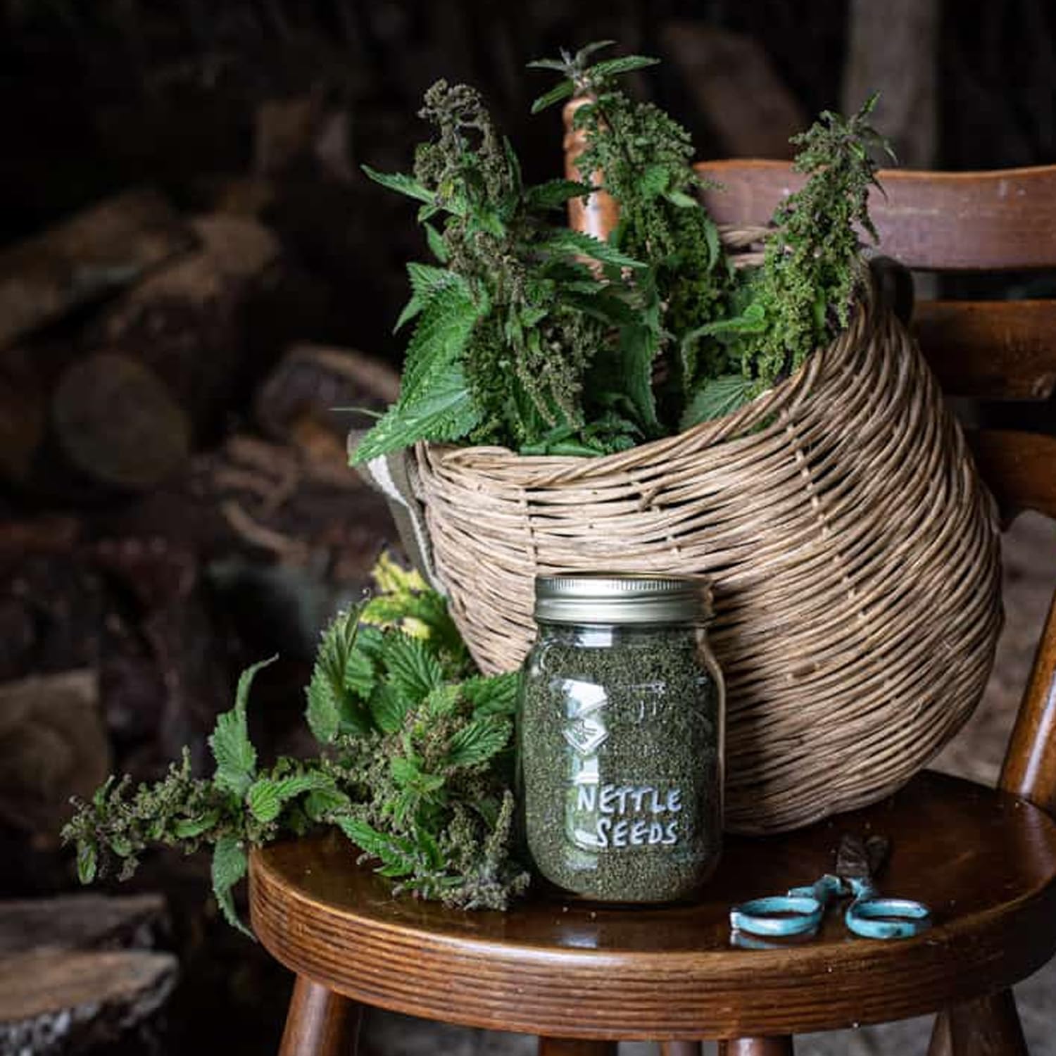 250g Premium Quality Natural Nettle Seed (Urtica dioica) - Organic and Fresh