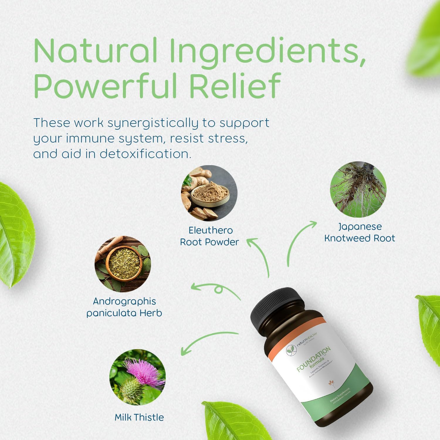 270 Capsules Immune Support Supplement with Japanese Knotweed Root, Cat's Claw, Milk Thistle & Resveratrol - Non-GMO, All-Natural Vegan Formula for Healthy Foundation