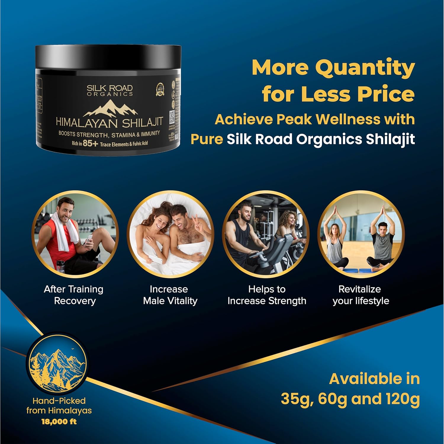 29g Pure Himalayan Shilajit Resin Supplement for Immune Support & Cognitive Health by SILK ROAD ORGANICS