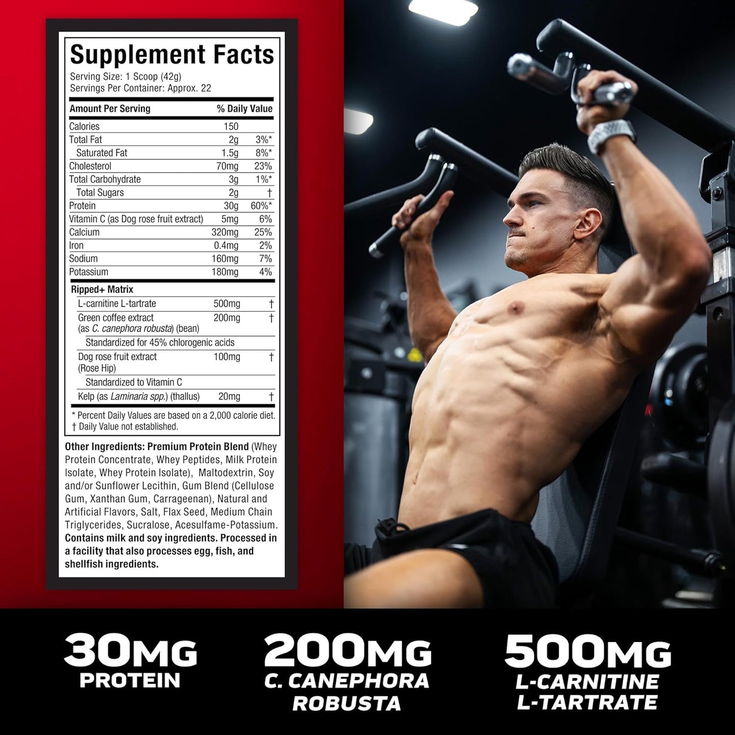2LB Muscletech Nitro-Tech Ripped Whey Protein Isolate & Peptides Smoothie Mix - French Vanilla Bean Flavor for Fast Recovery & Lean Muscle - 30g Whey Protein Powder for Men & Women