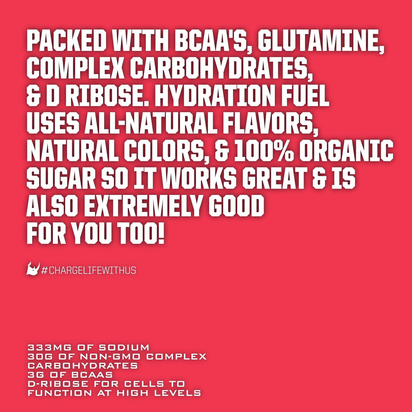2lb Ryno Power Hydration Fuel Electrolyte Drink Mix - Fruit Punch Flavor with BCAA's for Sustained Energy and Muscle Recovery - Gluten Free Formula (20 Servings)