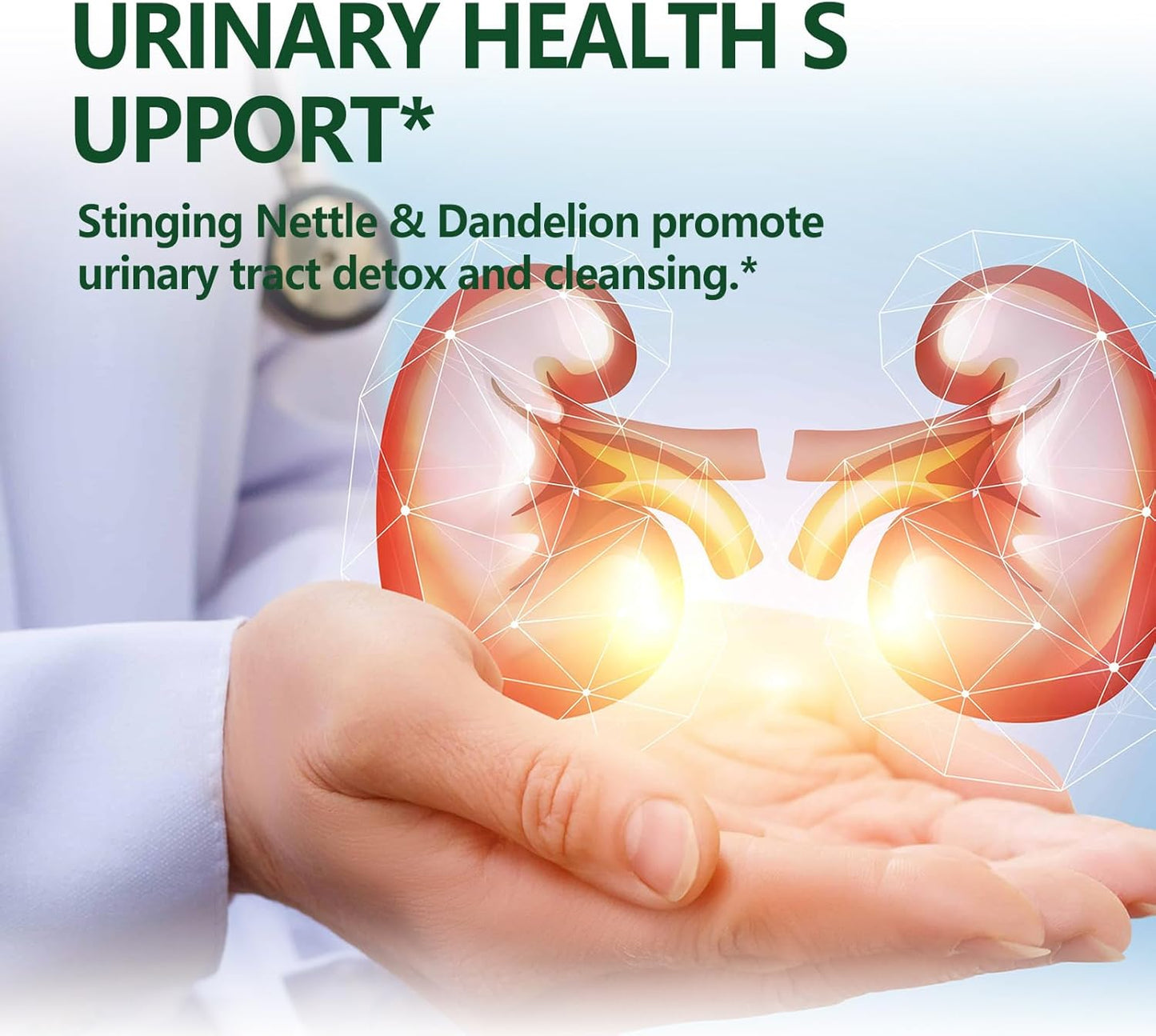 2oz Eubrition Herbal Liquid Drops: Stinging Nettle, Quercetin, Turmeric for Allergy, Urinary Health & Immunity