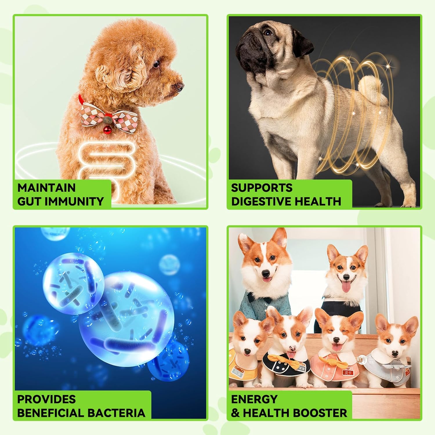 3-in-1 Dog Probiotic & Digestive Enzymes for Gut Health, Itchy Skin, Allergies, Immunity - Liquid Probiotics for All Ages & Breeds