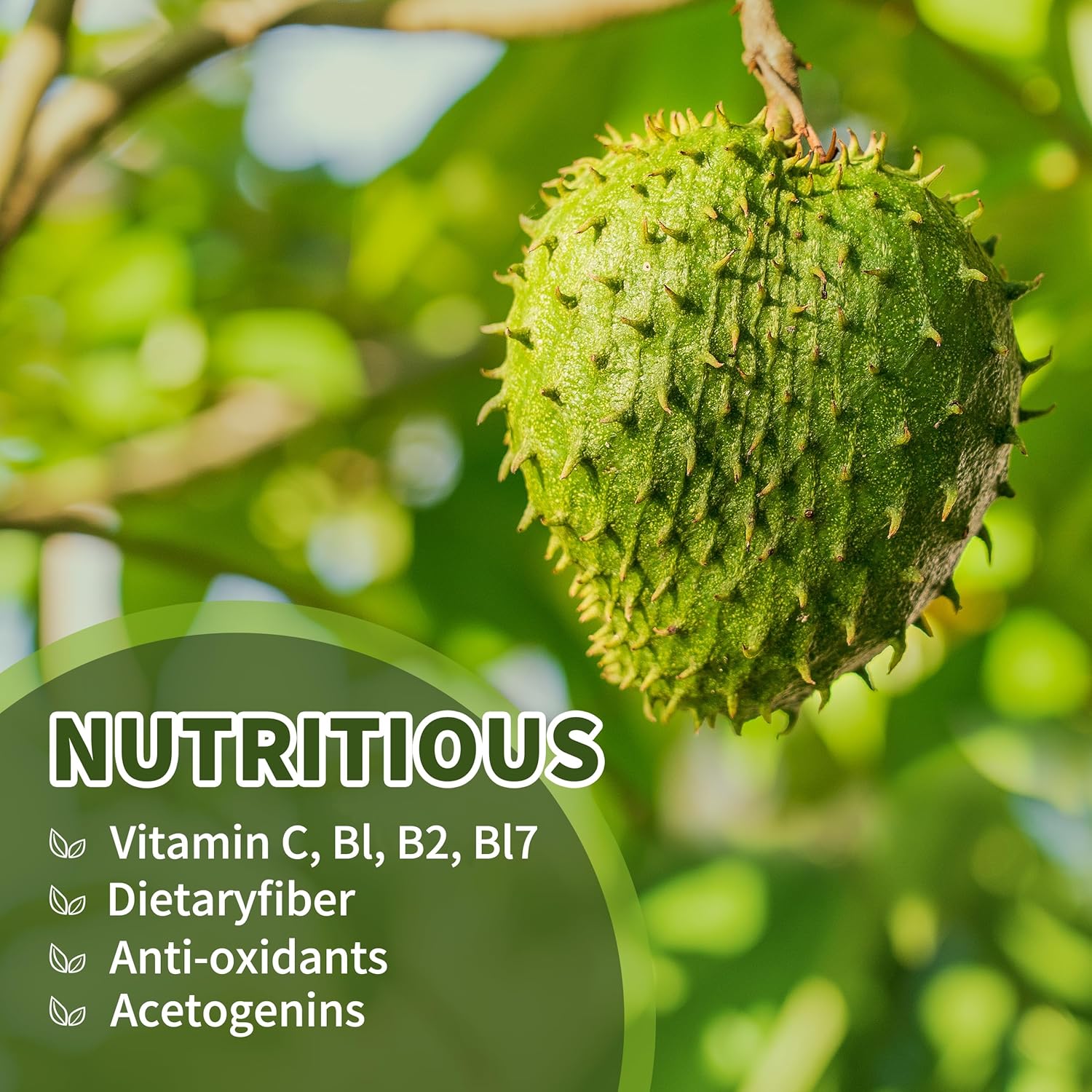 3 Pack of Hudetex Soursop Graviola Liquid Drops 2000mg - Supports Cell Regeneration, Immune Health, and Liver Function - Herbal Goodness - Liquid-Sugar/Gluten Free - Natural Flavor - 6 Fl Oz