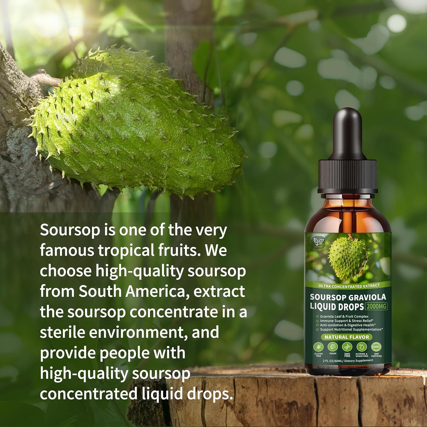 3 Pack of Hudetex Soursop Graviola Liquid Drops 2000mg - Supports Cell Regeneration, Immune Health, and Liver Function - Herbal Goodness - Liquid-Sugar/Gluten Free - Natural Flavor - 6 Fl Oz
