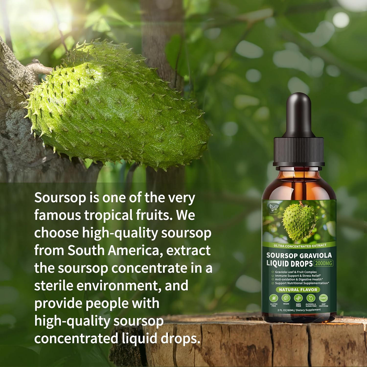 3 Pack of Hudetex Soursop Graviola Liquid Drops 2000mg - Supports Cell Regeneration, Immune Health, and Liver Function - Herbal Goodness - Liquid-Sugar/Gluten Free - Natural Flavor - 6 Fl Oz
