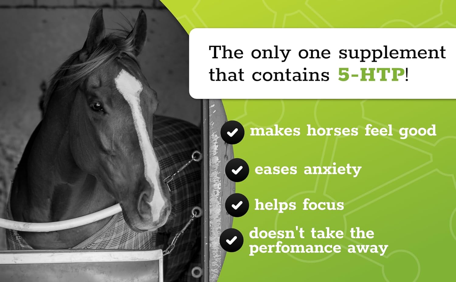 3-Pack of SynNutra Equine SynChill Oral Horse Calming Gel - Natural Supplement for Focus & Performance, Olympic Approved