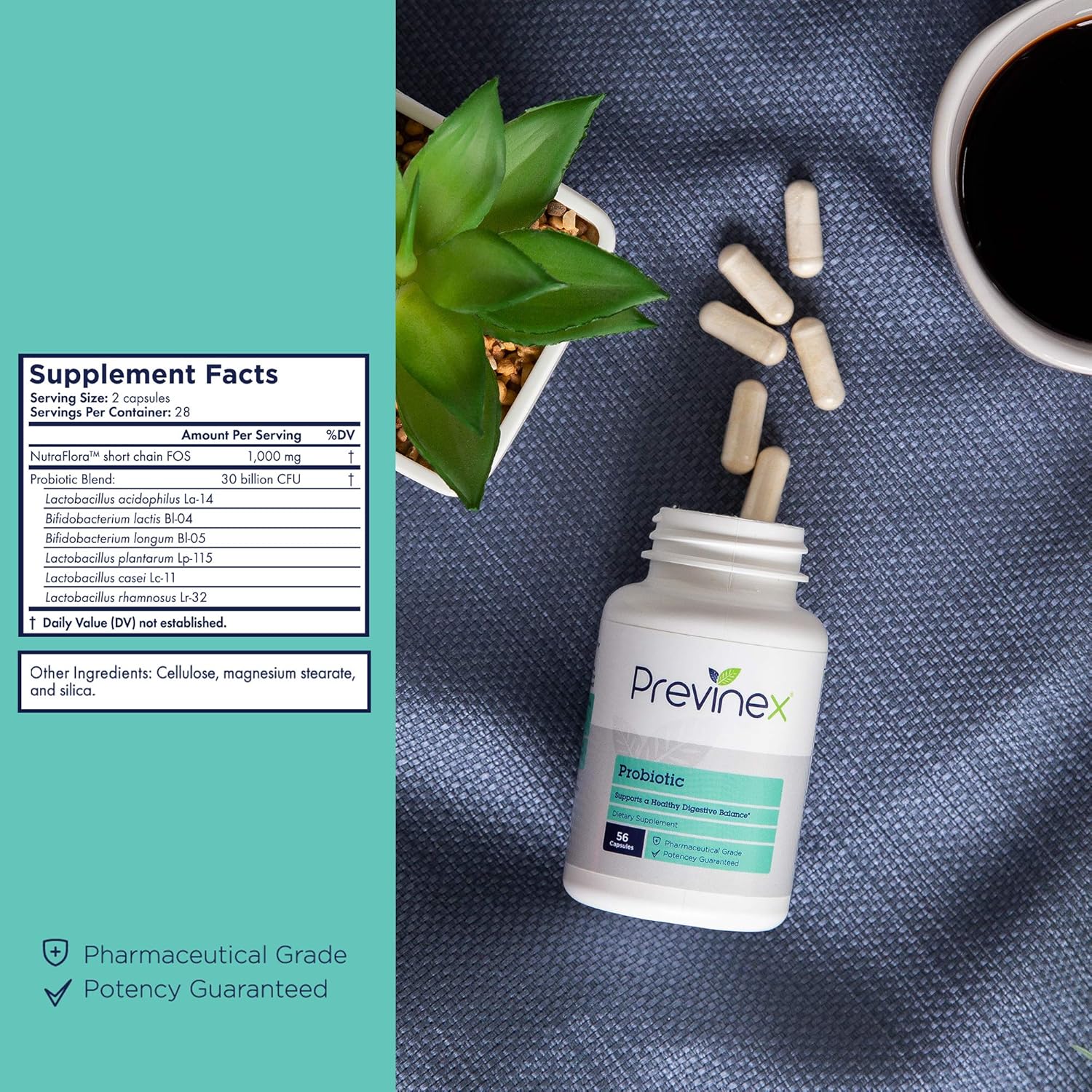30 Billion CFU Previnex Probiotic with Prebiotics for Digestion & Immune Support