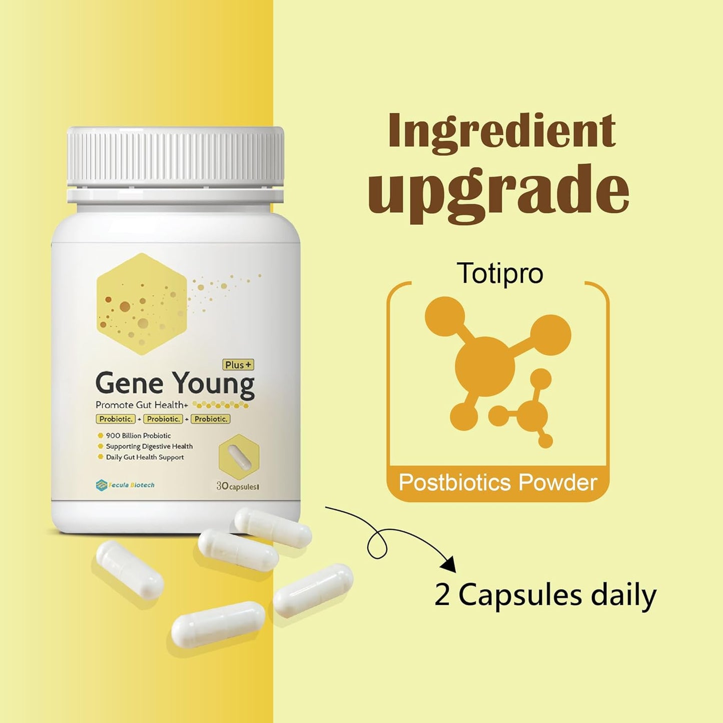 30 Capsules of Fecula Biotech Synbiotic: 3-in-1 Gut Health Support for Digestion, Bloat, and Immune System