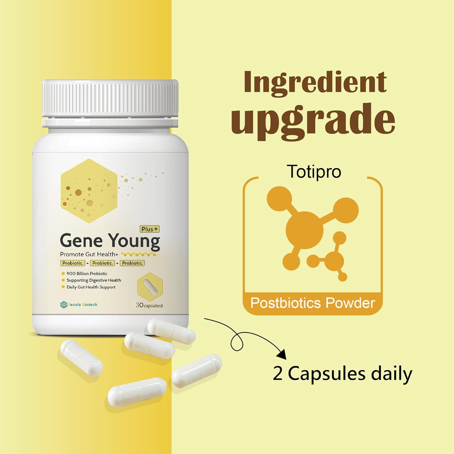 30 Capsules of Fecula Biotech Synbiotic: 3-in-1 Gut Health Support for Digestion, Bloat, and Immune System