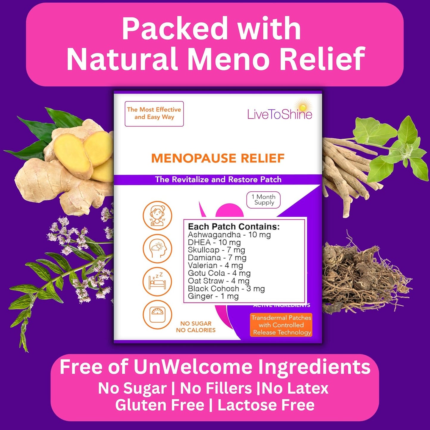 30-Day Supply of Menopause Relief Topical Patches for Women and Men - Made in the USA by Live To Shine