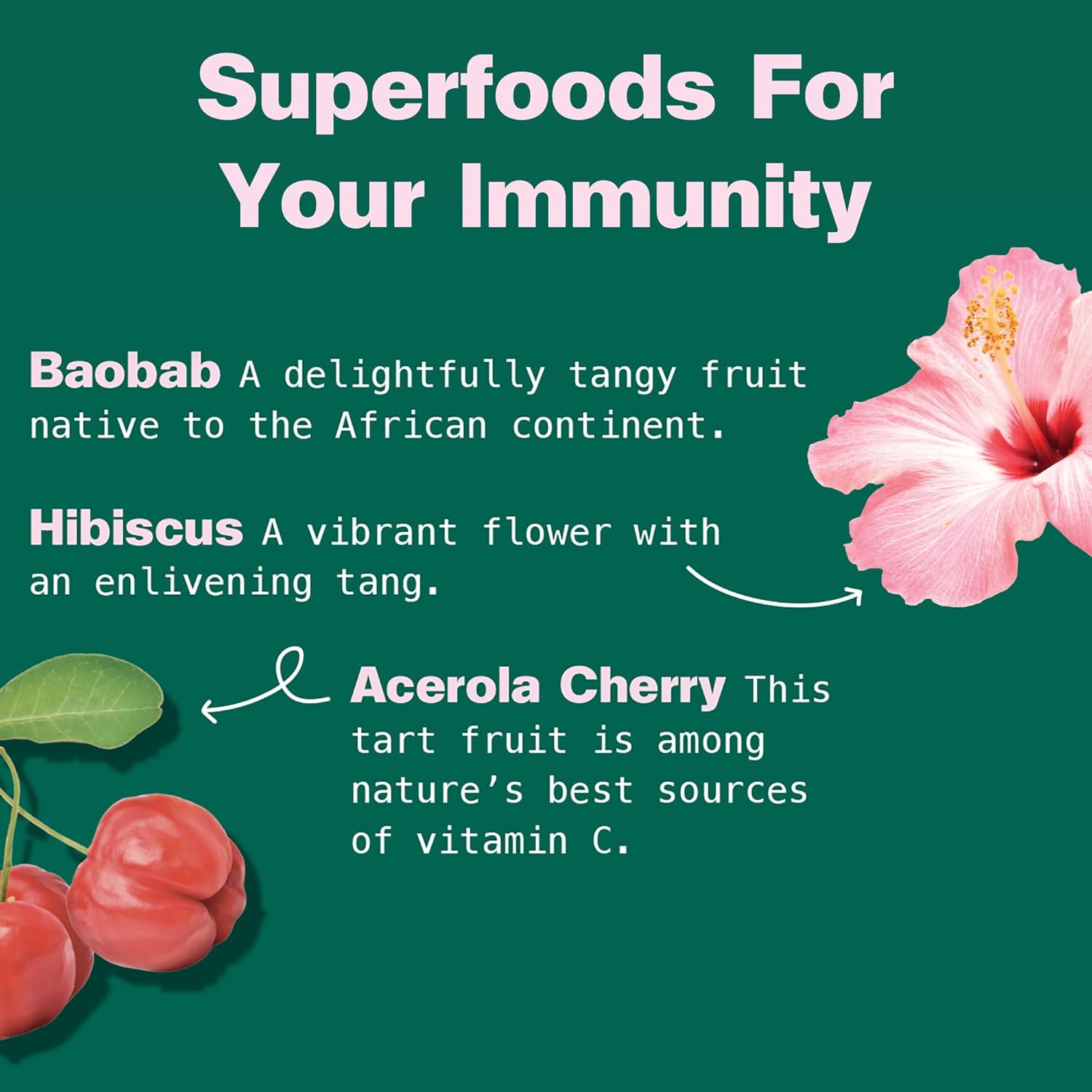 30 Servings of Kuli Kuli Citrus C Defense Superfood Powder - Immune Support with Acerola Cherry, Hibiscus, Lucuma, and Baobab for Daily Wellness Boost