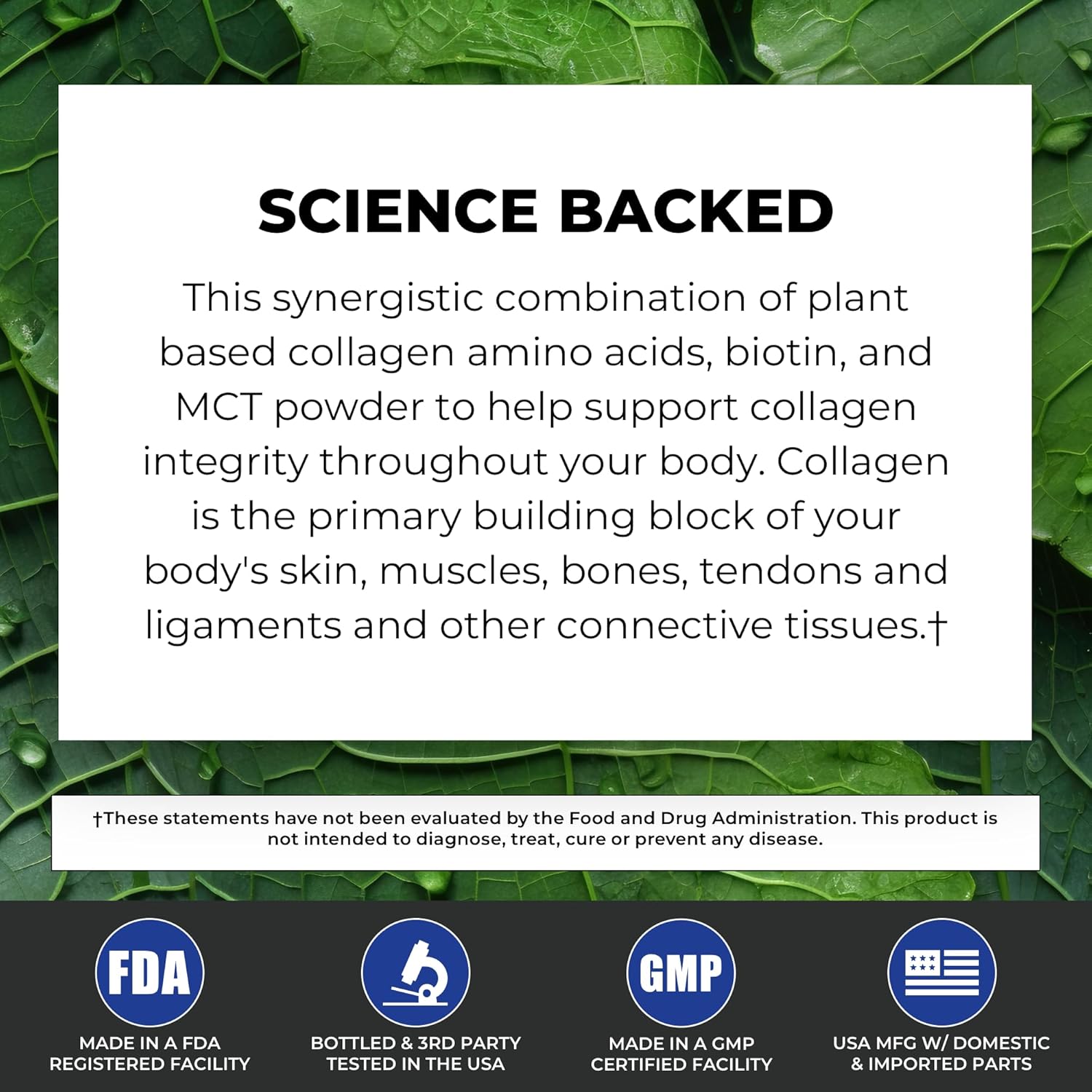 30 Servings POWERLIFE Peak MCT Powder Supplement with Plant-Based Collagen and Biotin - Vanilla Flavor