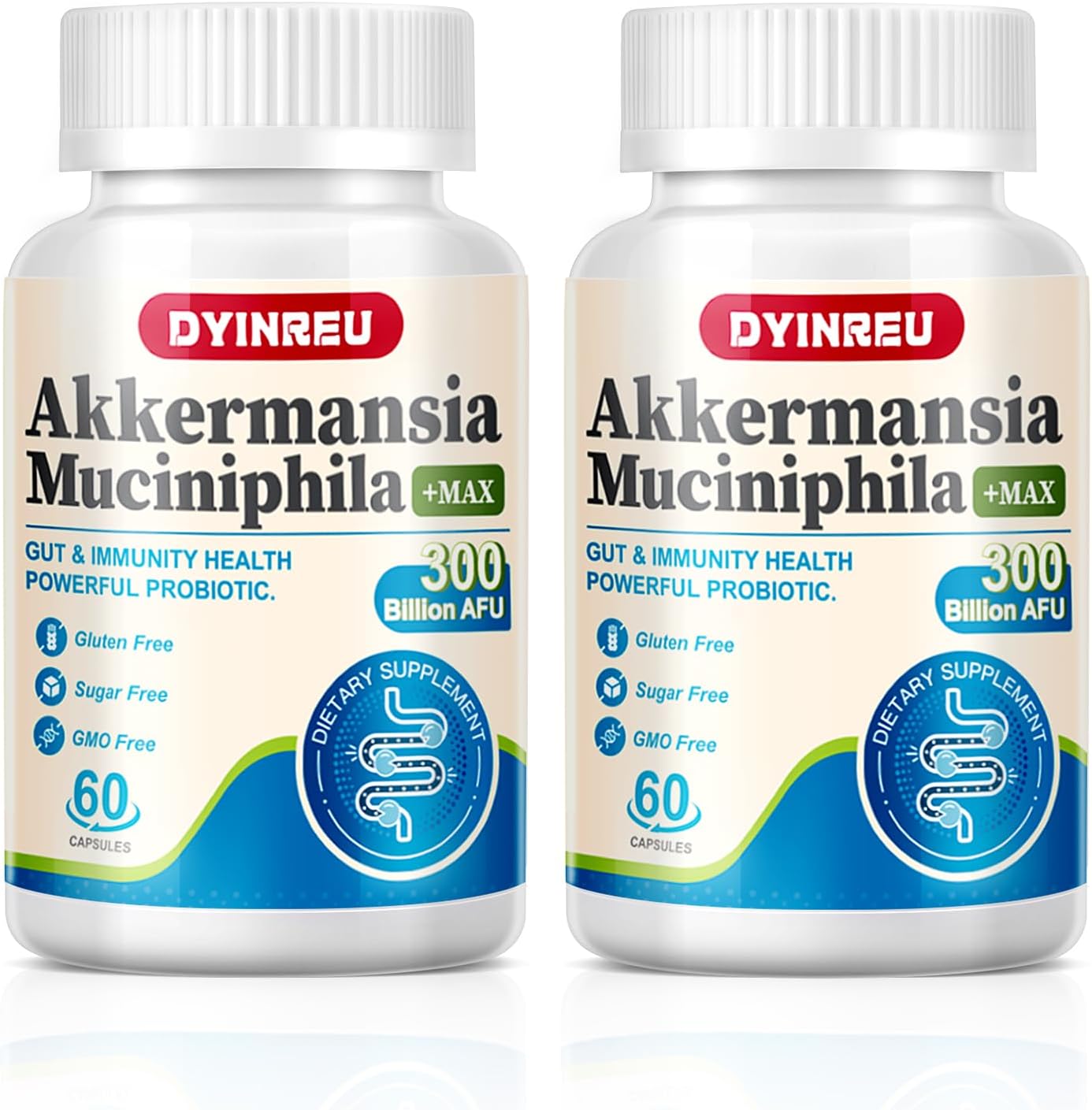300 Billion AFU Akkermansia Muciniphila Probiotics Capsules for Digestive, Gut, Immune Health