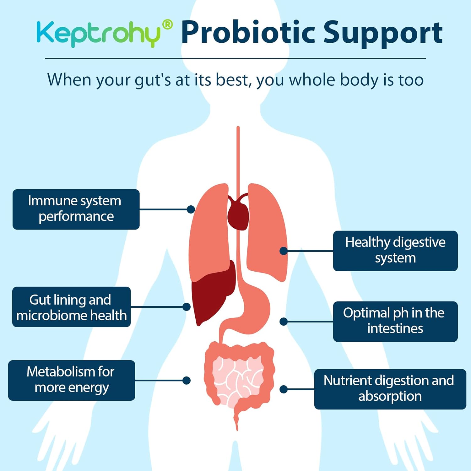 300 Billion CFU Probiotics for Gut Health - Organic Prebiotics Blend, 12 Strains Probiotic Supplement for Women and Men - 60 Capsules