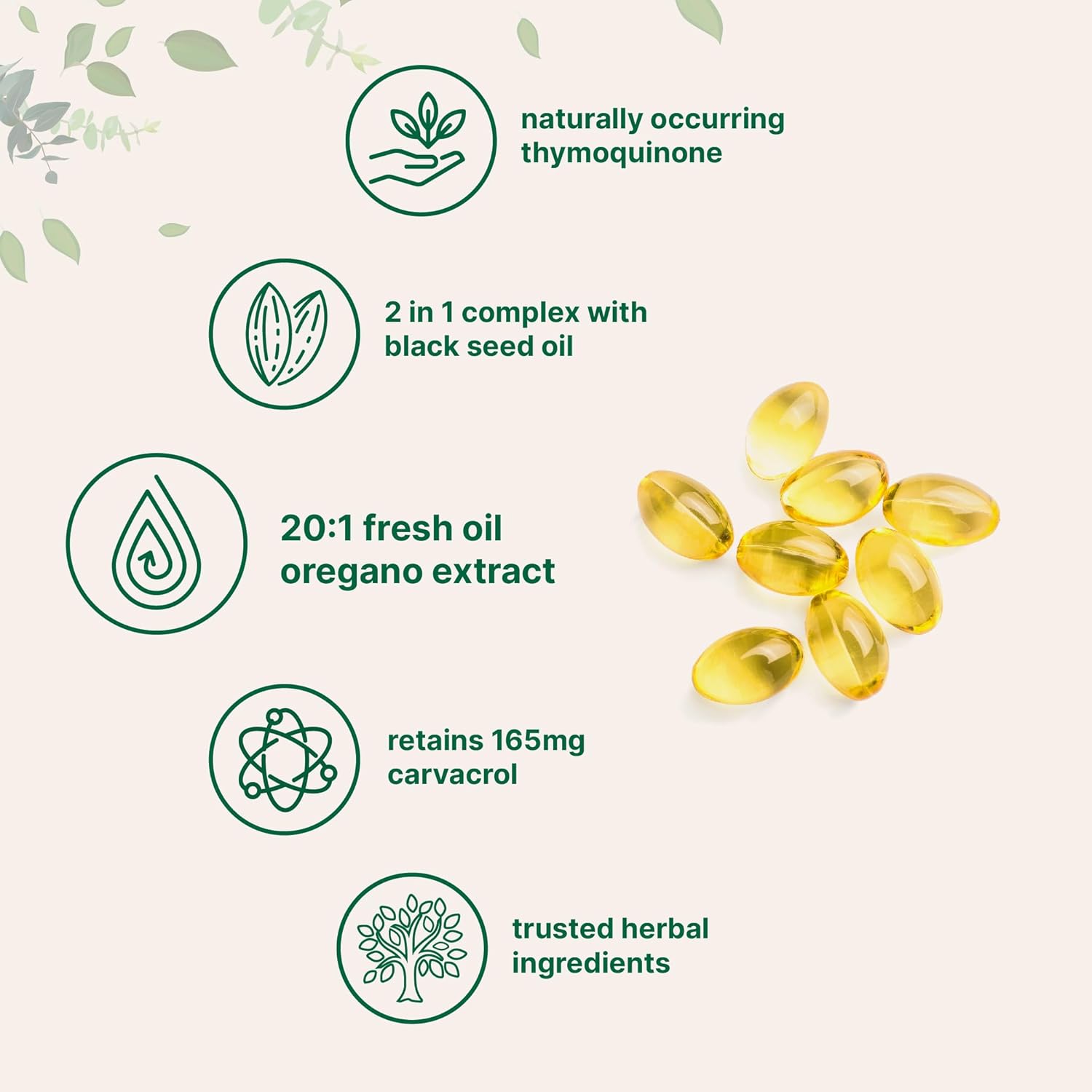 300 Count Oil of Oregano Softgels & 240 Lions Mane Capsules Bundle - Superfood Mushroom Antioxidants with Carvacrol & Thymoquinone