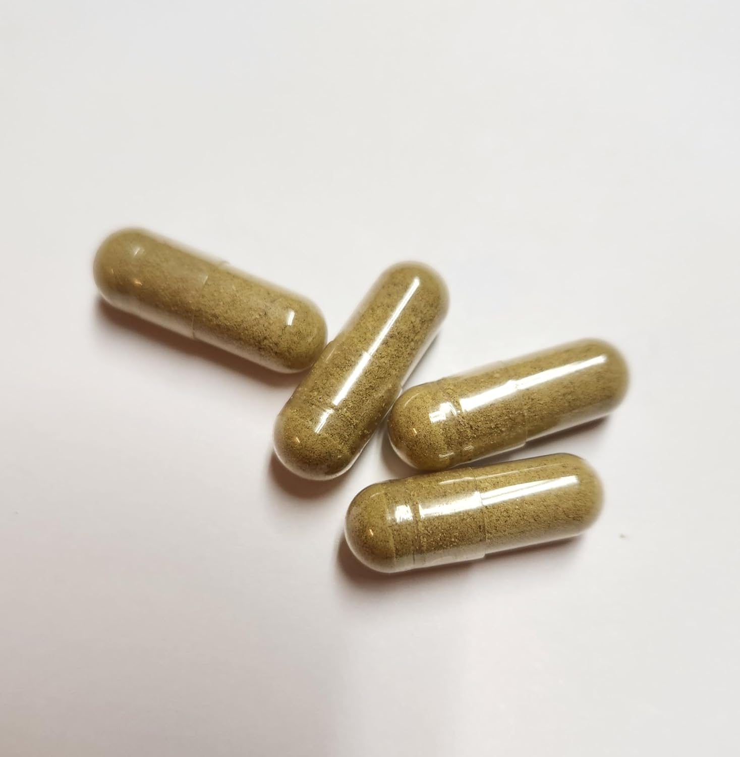 300 Ct Rosemary Capsules - Herbal Supplement from Paisley Farm & Crafts - Freshly Made for Your Health