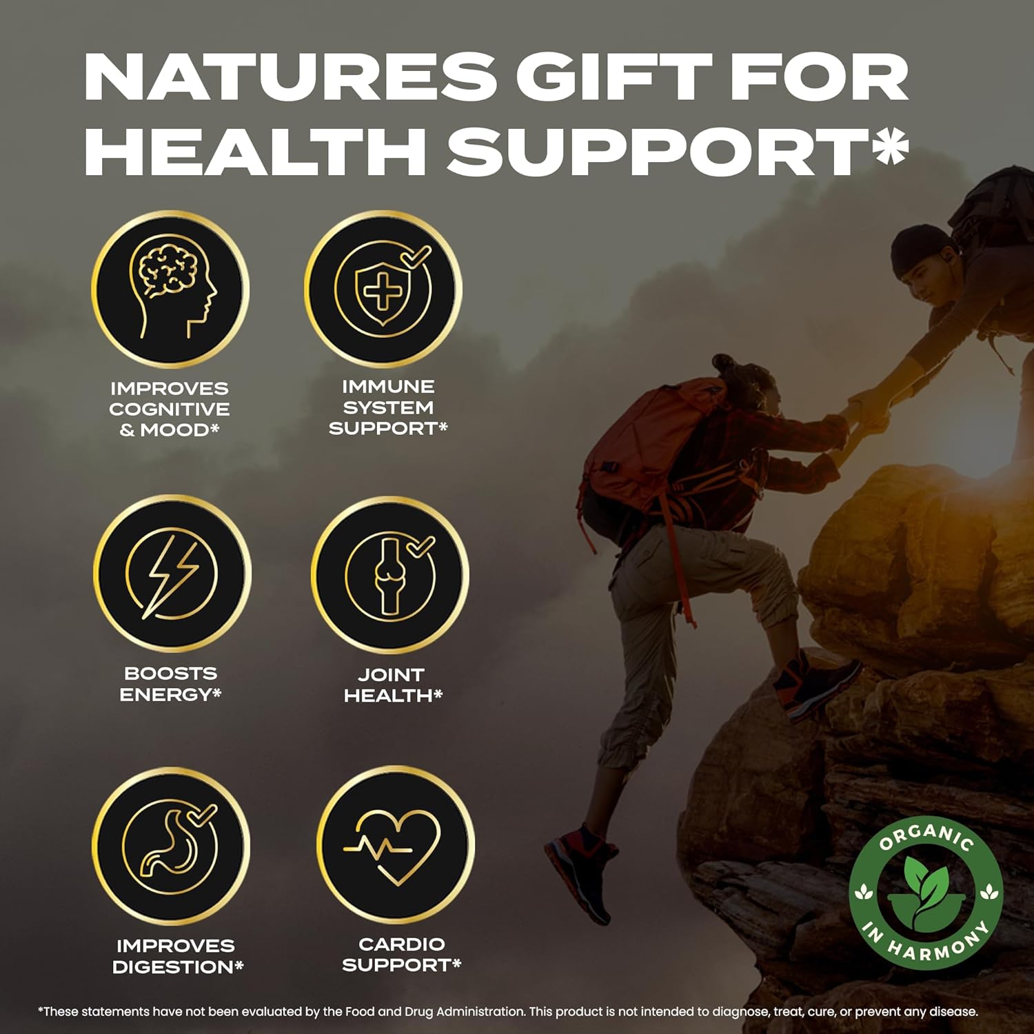 30,000 MG Organic Shilajit Gummies for Men & Women - Sugar-Free Supplement with 85+ Trace Minerals & Fulvic Acid - Boost Cognitive Function, Mood, Immunity, Energy - 60 Gummies