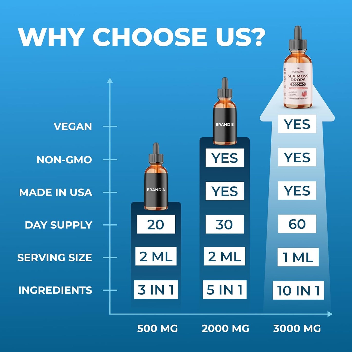 3000mg TrueSeaMoss Drops with Spirulina & Burdock Root for Digestive & Immune Support - 2 Fl Oz Strawberry Flavor