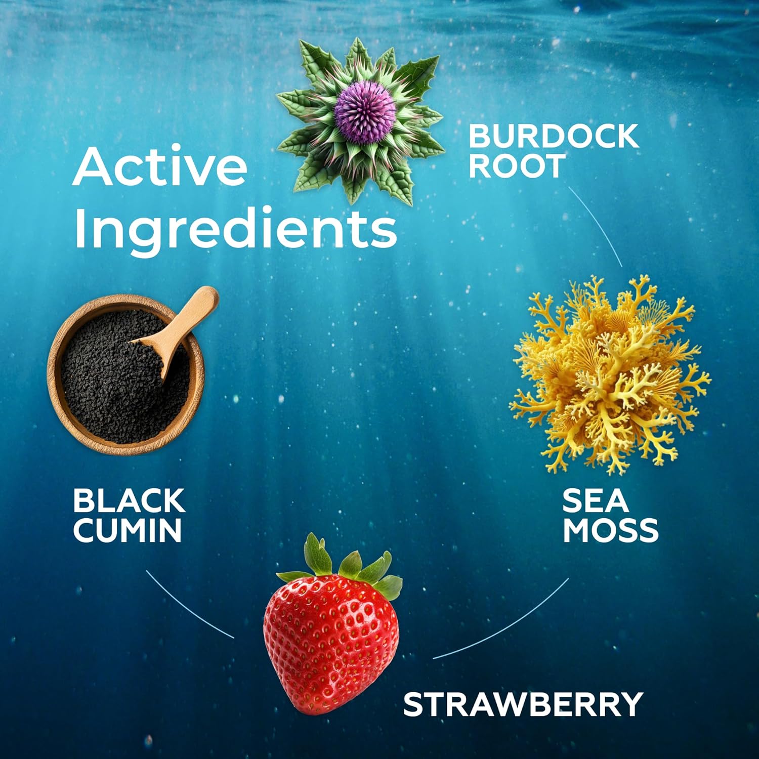 3000mg TrueSeaMoss Drops with Spirulina & Burdock Root for Digestive & Immune Support - 2 Fl Oz Strawberry Flavor