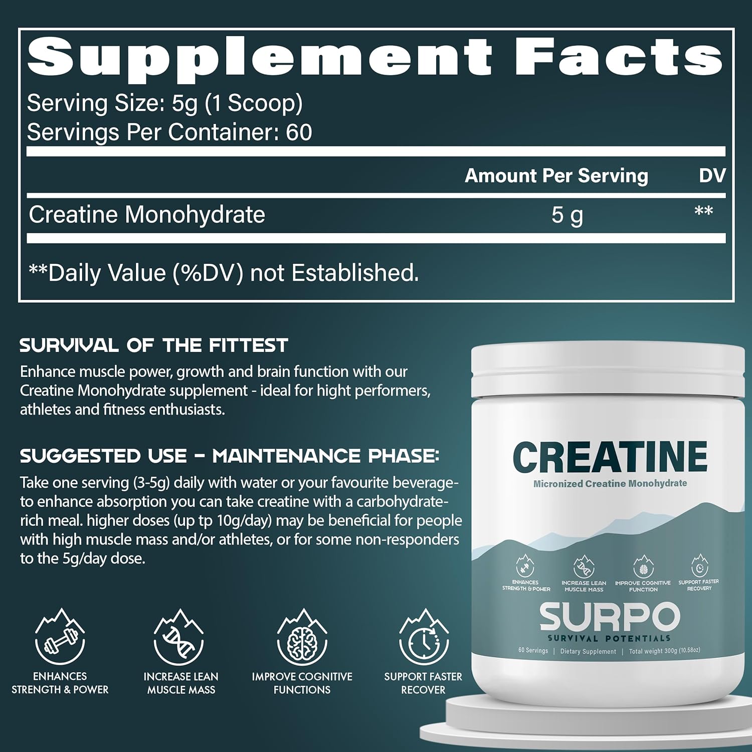 300g Micronized Creatine Monohydrate Powder - 60 Servings, Pure & Unflavored | Gluten Free & Non GMO Workout Supplement for Muscle Recovery & Growth