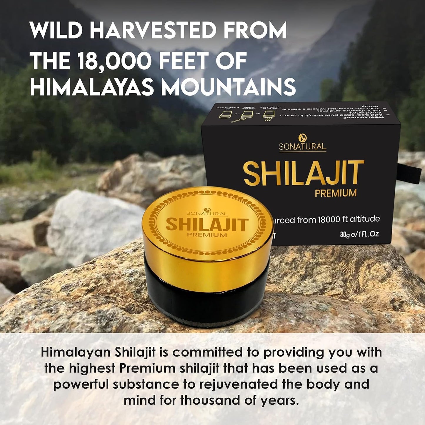 30g Pure Himalayan Organic Shilajit Resin with Fulvic Acid - Energy & Immune Support