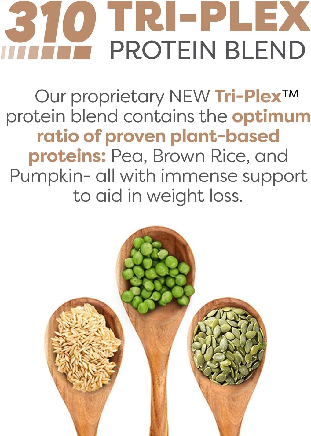 310 Nutrition Fiber-Rich Vegan Superfood Meal Replacement Shake - Horchata Flavor, Low Carb, Keto & Paleo Friendly, Gluten-Free, 26 Vitamins & Minerals - 28 Servings