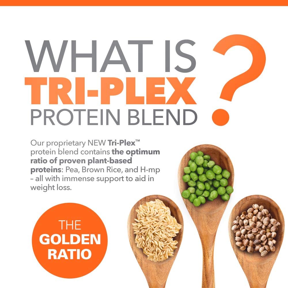 310 Nutrition Plant Protein Powder and Meal Replacement Shake - Chocolate Flavor | Gluten-Free, Dairy-Free, Soy-Free, Sugar-Free | Keto and Paleo Friendly - 28 Servings