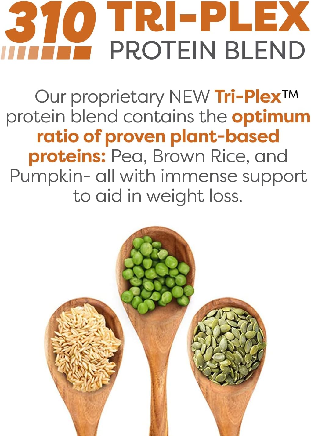 310 Nutrition Pumpkin Spice Meal Replacement Shake - Vegan Blend, High Fiber, Low Carb, Keto & Paleo Friendly, Gluten-Free, 26 Vitamins - 28 Servings