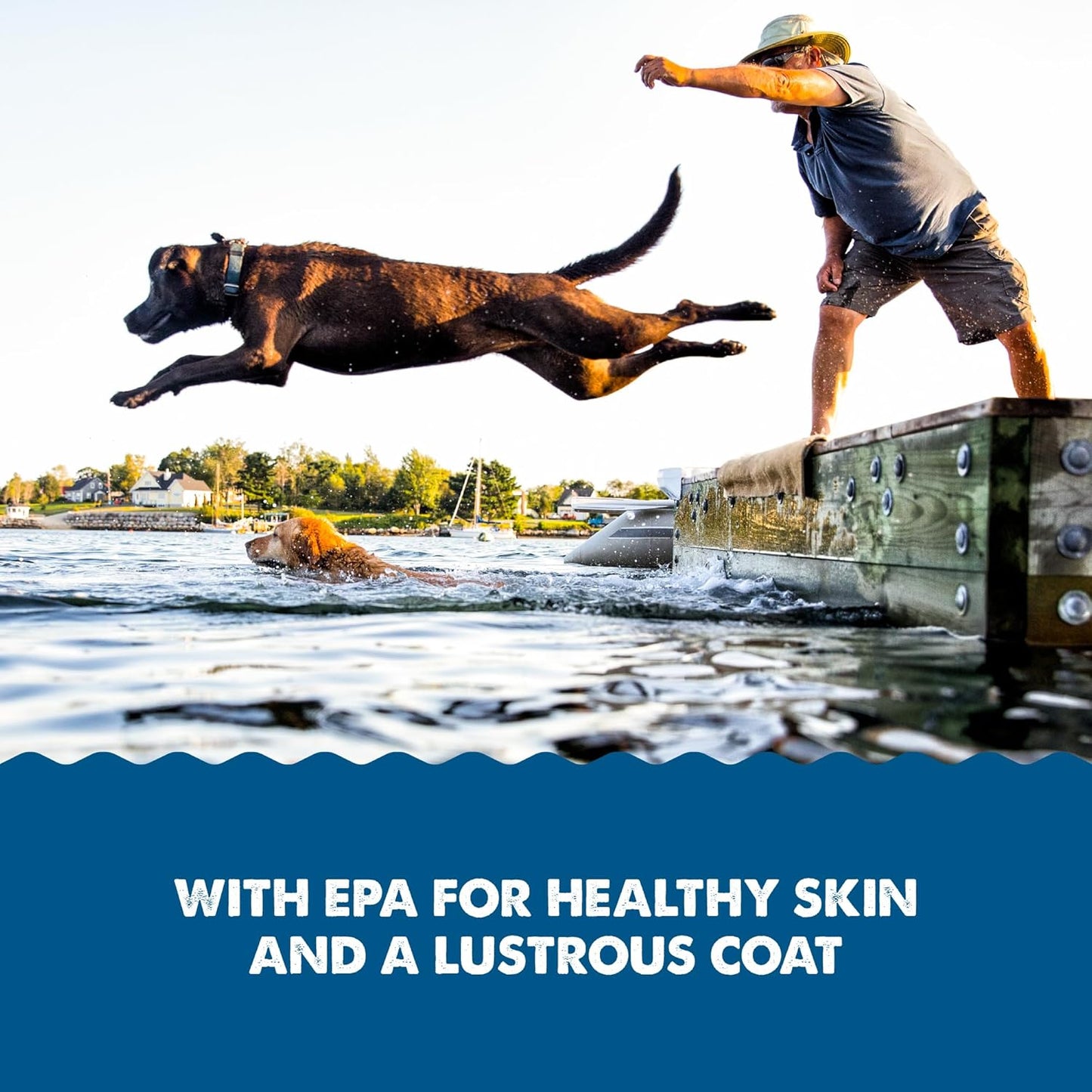 32 Ounce Grizzly Pollock Oil Dog Food Supplement for Healthy Joints and Skin