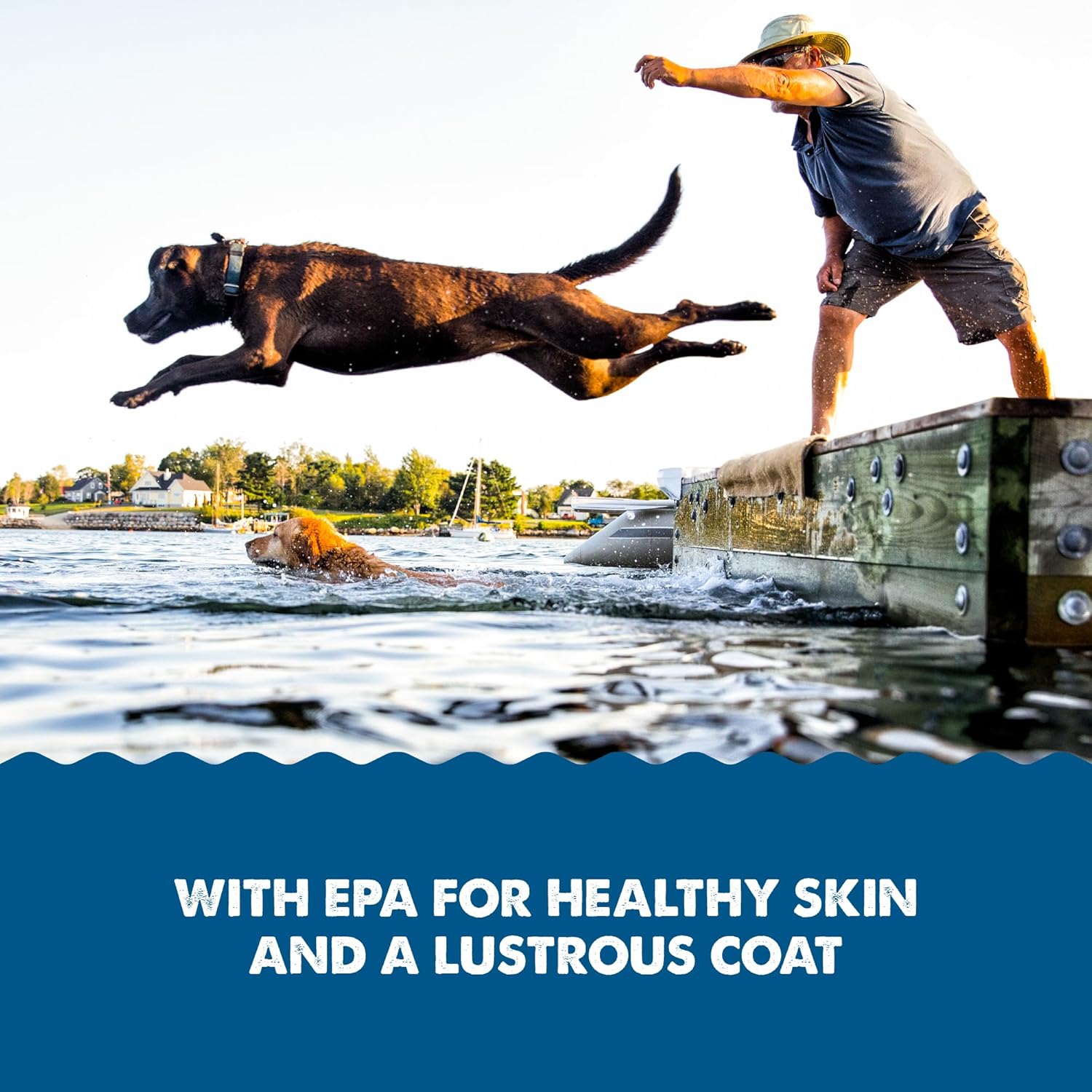 32 Ounce Grizzly Pollock Oil Dog Food Supplement for Healthy Joints and Skin