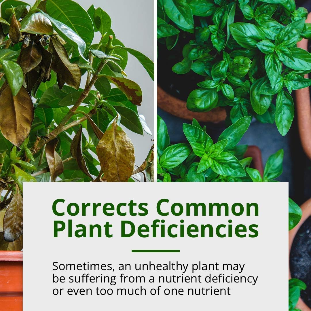 32 oz Humboldts Secret CalMag & Iron Supplement with Sweet & Sticky Carbohydrate Energy - Promotes Growth in Vegetative and Flowering Stage