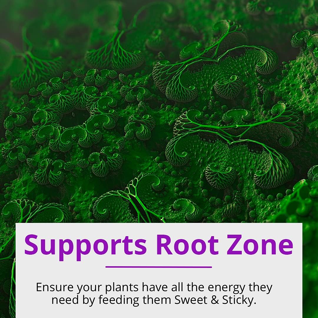 32 oz Humboldts Secret CalMag & Iron Supplement with Sweet & Sticky Carbohydrate Energy - Promotes Growth in Vegetative and Flowering Stage