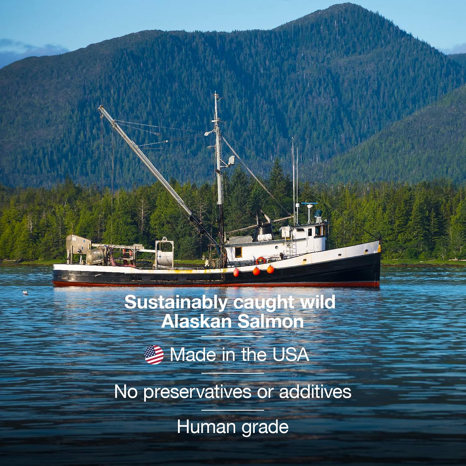 32 oz SavvyBeast Pure Wild Alaskan Salmon Oil Liquid Omega 3 Fish Oil Supplement for Dogs, Cats, Ferrets - Unscented All Natural Skin and Coat, Joints, Heart, Brain, Allergy, Weight, Immune Support