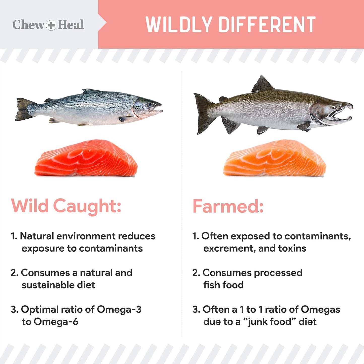 32 oz. Wild Alaskan Salmon Fish Oil for Dogs with Omega-3, 6, Vitamin D, EPA, DHA - Skin & Coat Support