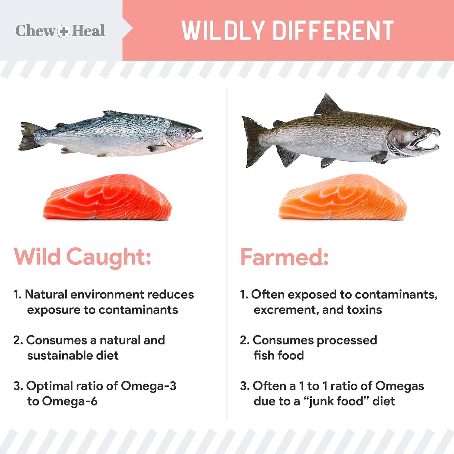 32 oz. Wild Alaskan Salmon Fish Oil for Dogs with Omega-3, 6, Vitamin D, EPA, DHA - Skin & Coat Support