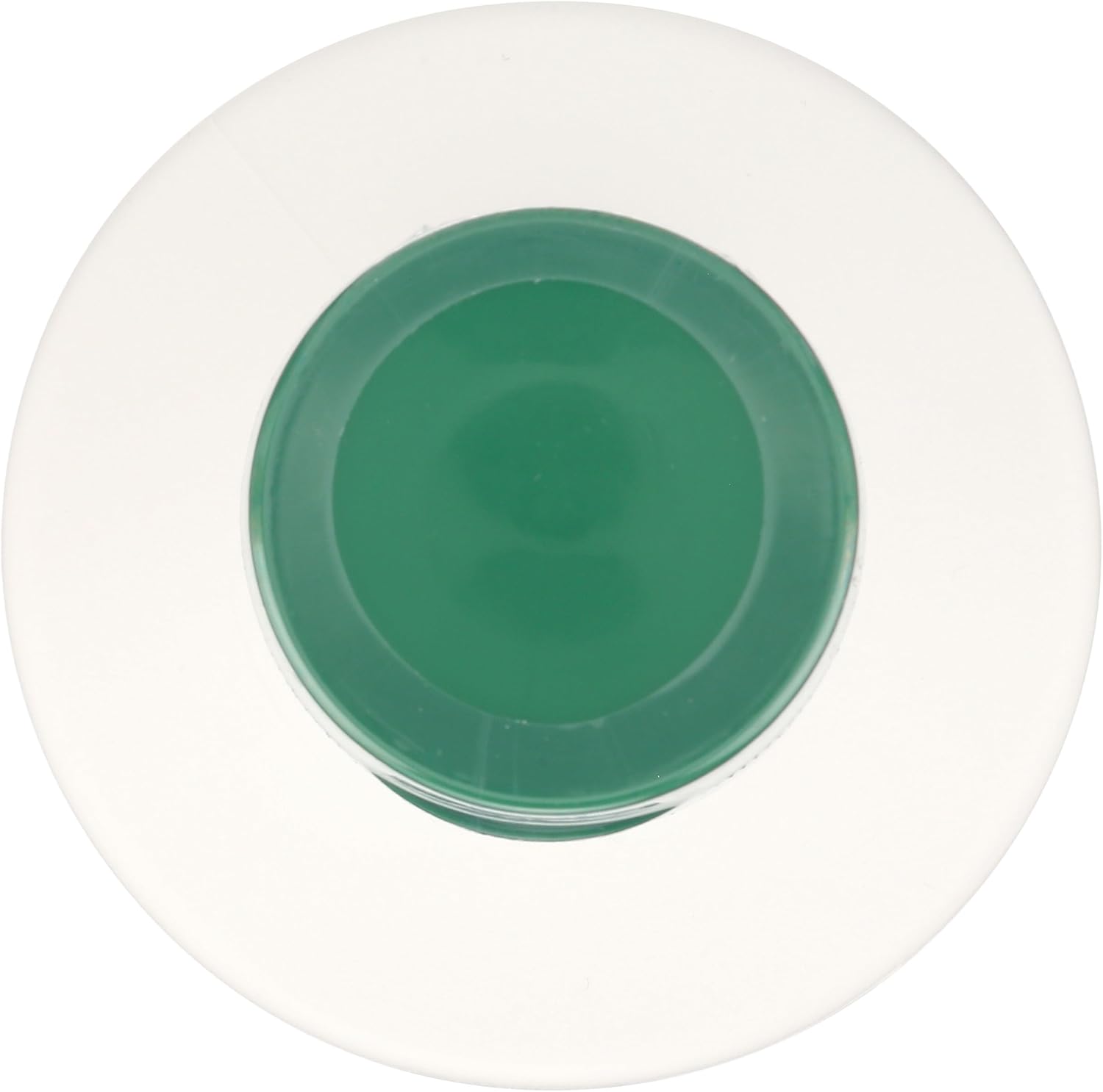 365 By Whole Foods Market MCT Oil 16 Fl Oz Unflavored for Keto Diets