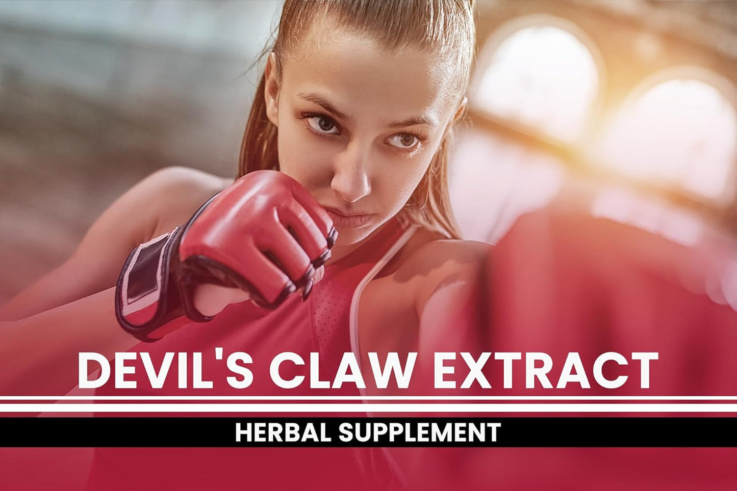 365 Capsules Devil's Claw Supplement - Pure Ingredients, No Fillers - Lab Verified