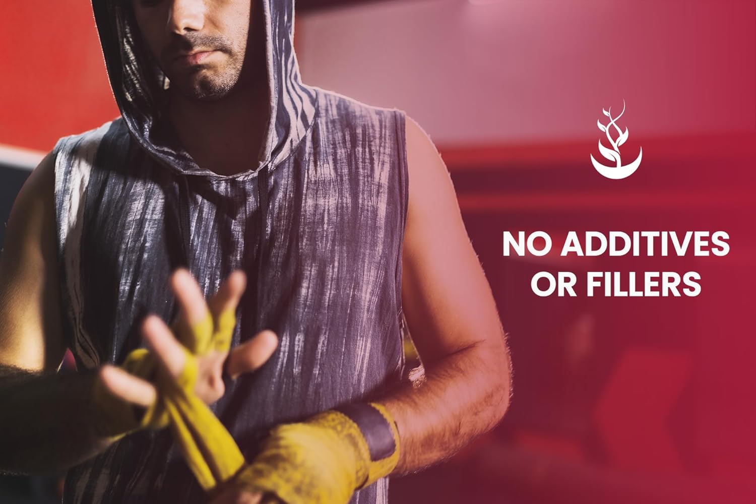 365 Capsules Devil's Claw Supplement - Pure Ingredients, No Fillers - Lab Verified