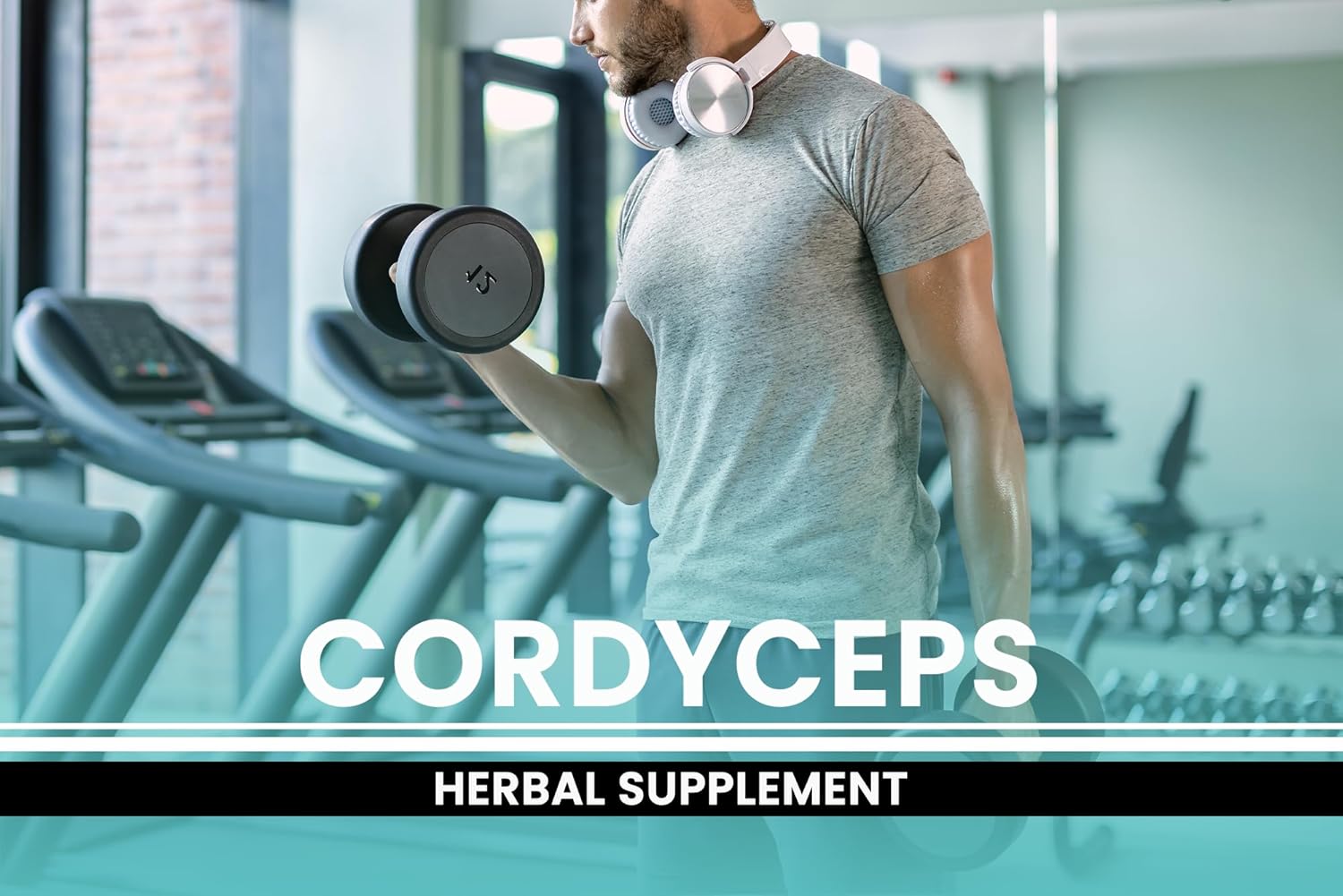 365 Capsules of Cordyceps with Pure Original Ingredients, No Magnesium or Rice Fillers