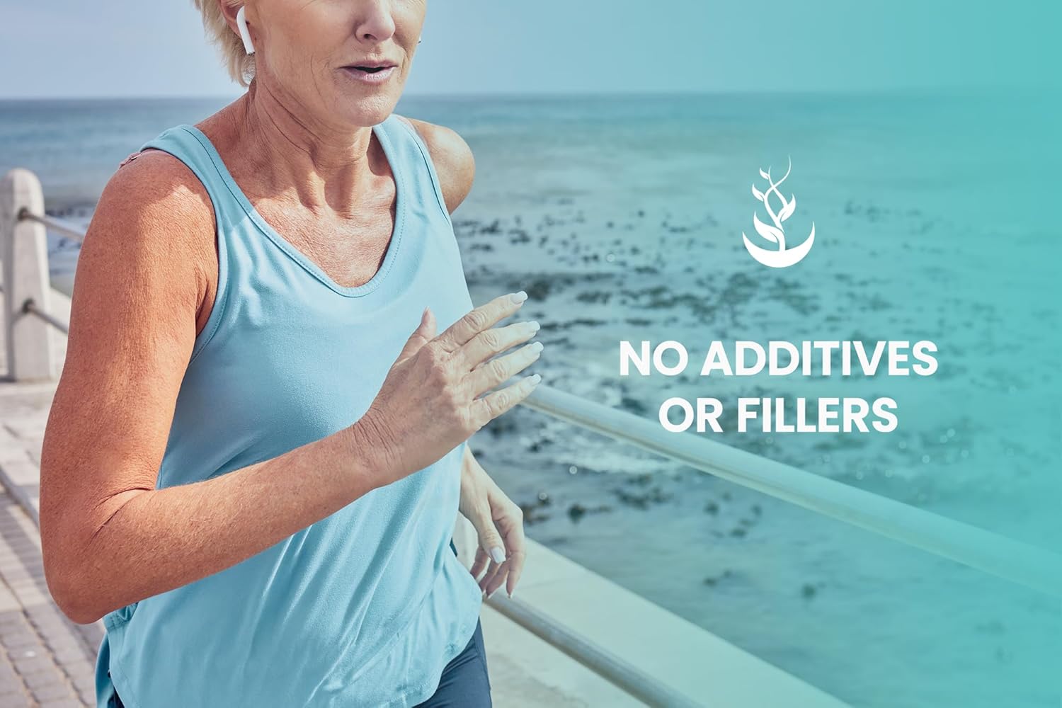 365 Capsules of Cordyceps with Pure Original Ingredients, No Magnesium or Rice Fillers